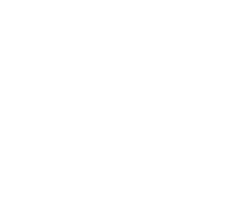 Rauda IA